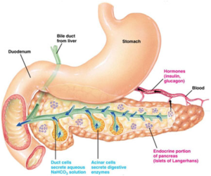 life insurance with pancreatitis
