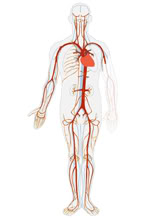 Life Insurance With Addison's Disease